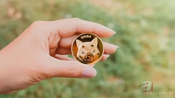 Shiba coin için kritik viraj: Shiba coin ne kadar, kaç TL olacak? Shiba coin 1-2 dolara olacak mı? 5