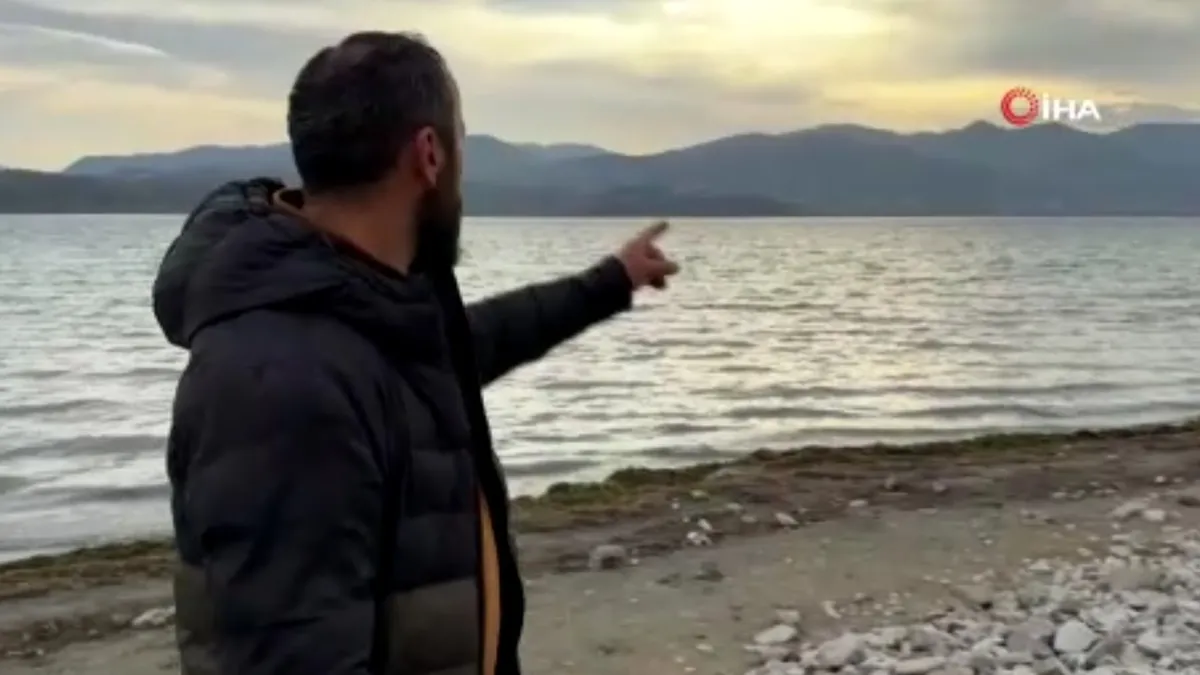 Korkutan görüntü! Kimse nedenini bilmiyor sosyal medyada viral oldu: İlk başta balık sandım