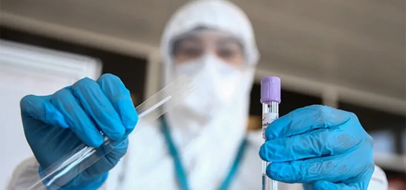 Koronavirüs salgınının etkisiyle arı ürünlerine ilgi arttı