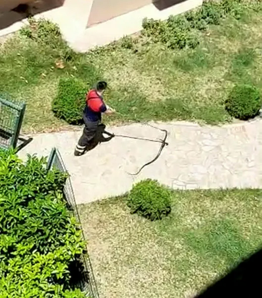 Osmaniye'de sitenin çocuk parkında yılan yakalandı! - 1