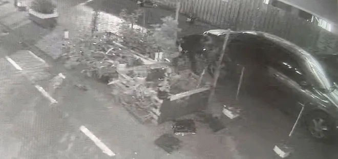 Aracıyla yaklaştı ağacı çalıp kaçtı! Yer: Sultangazi