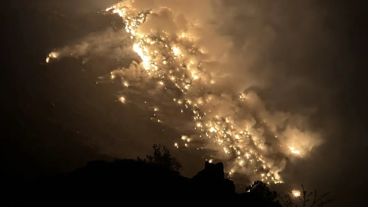 Artvin'de çöp sahasında yangın!