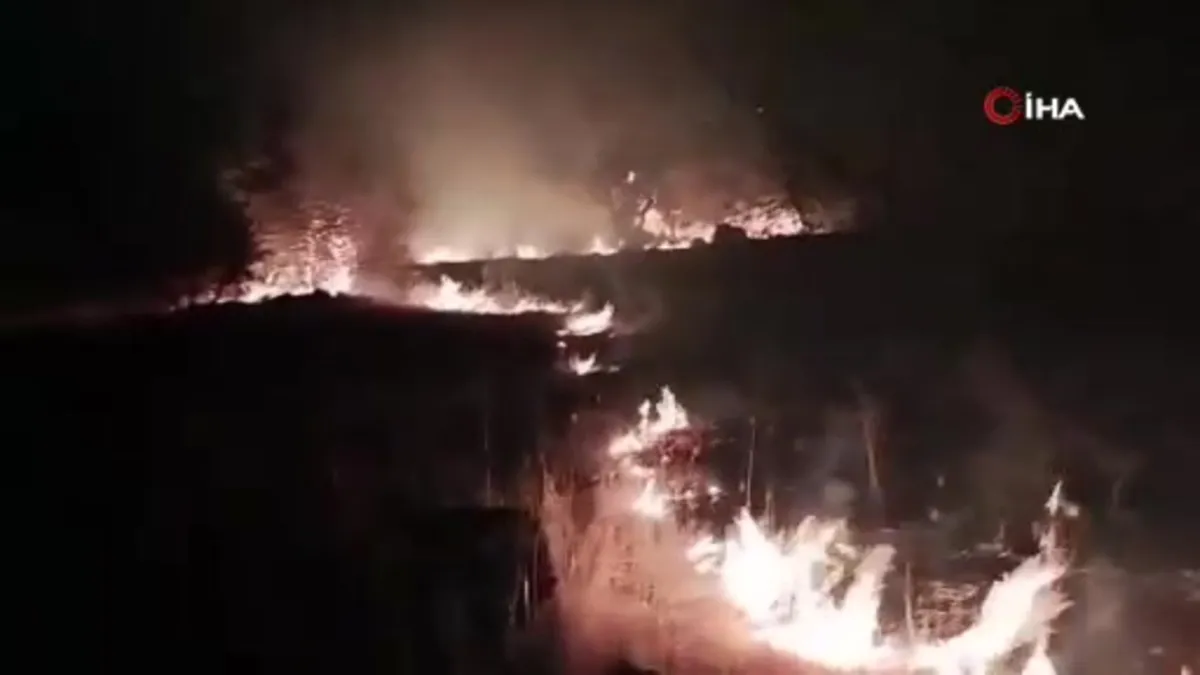 Çöplükte çıkan yangın araziye sıçradı