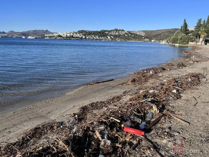 Derelere atılan çöpler denize ulaştı! Yağmur sonrası Bodrum sahili çöplüğe döndü