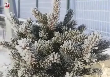 Ardahan'ın Göle ilçesi buz kesti: Eksi 32,3