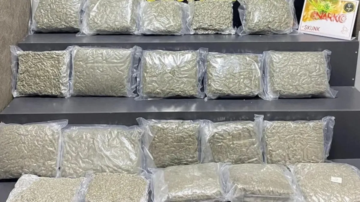 Tuzla'da uyuşturucu operasyonu: 51 kilo skunk ele geçirildi