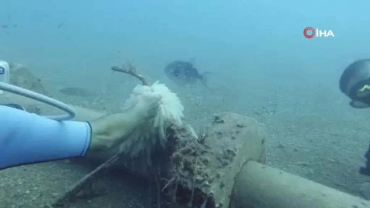 Trol teknelerin ağları kalamarı vurdu