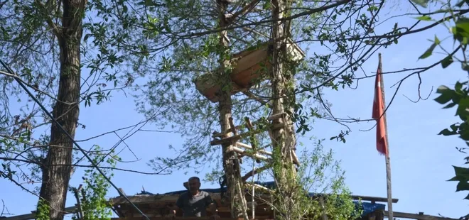 Meyve yerine tabut çıktı! Görenler şaşkına dönüyor! Ağaçların üzerinde...