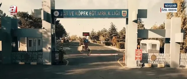 jakem-kapilarini-a-habere-acti-jandarmanin-atlari-nasil-goreve-hazirlaniyor-1747834550277.jpg Ekran görüntüsü / A Haber