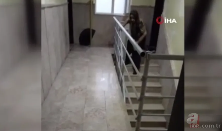 Yaşlı çift dehşet saçtı! Polise satırla saldırı girişimi kamerada | Kimyasal madde ile zehirlemeye çalıştılar 2