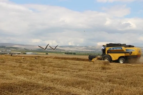 ukraynadan-krizleri-cozen-baskan-erdogana-tesekkur-minnettariz-1663933629324.jpg Ukrayna’dan krizleri çözen Başkan Erdoğan’a teşekkür! “Minnettarız” - 8