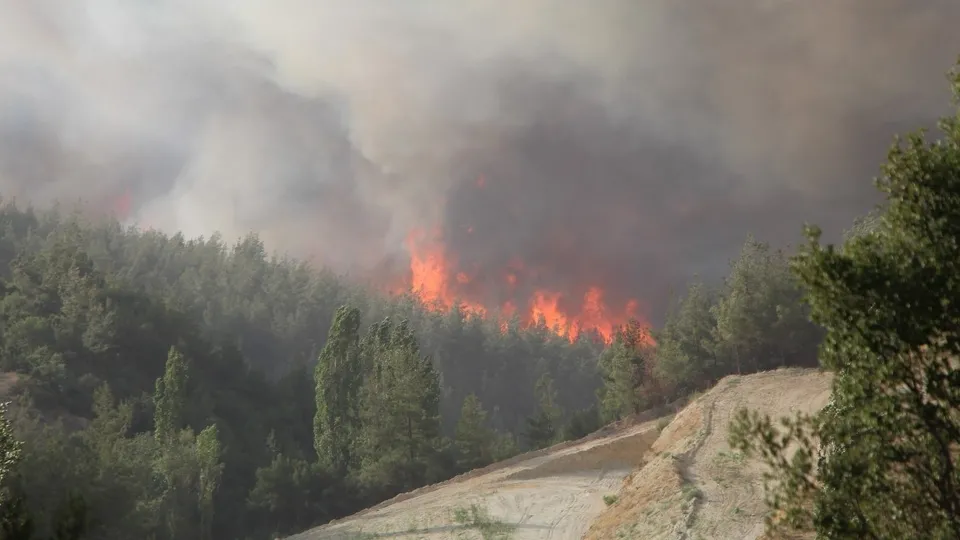 Alevler köyün etrafını sardı | Denizli’de korku dolu anlar