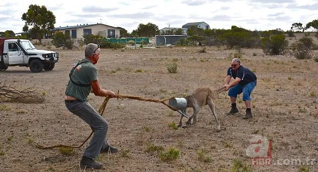 Onları görenler şaştı kaldı! 18