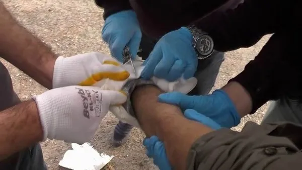 Son dakika: Mardin’de eylem hazırlığındaki teröristlere operasyon