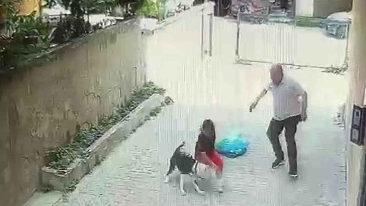 Ataşehir’de Pitbull dehşeti! 7 yaşındaki çocuk kabusu yaşadı