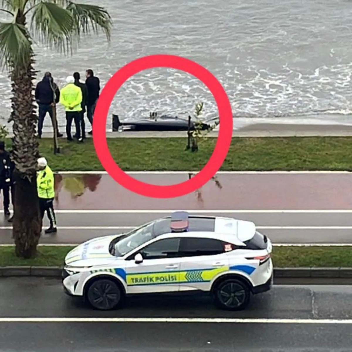 Ordu'da panik dolu anlar! Gören ekipleri aradı