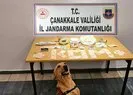 Çanakkalede uyuşturucu operasyonu