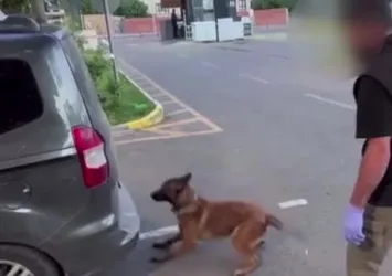Batman’da 93 kilo esrar ele geçirildi