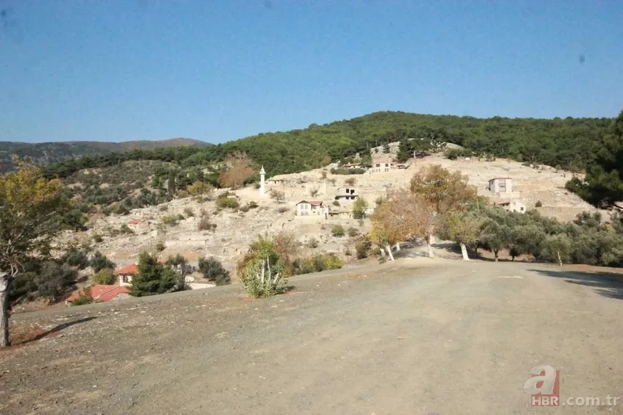 Sözde çevreci CHP’lilerden skandal! Kaz Dağları'nda ağaçları katledip betonla doldurdular | Doğa katliamına yeşil kamuflaj 4