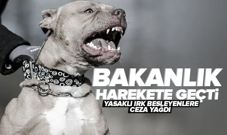 İçişleri Bakanlığı harekete geçti! Yasaklı ırk besleyenlere ceza yağdı