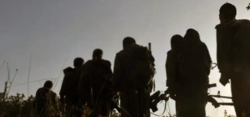 Cudi Dağı'na operasyon! 4 terörist öldürüldü...