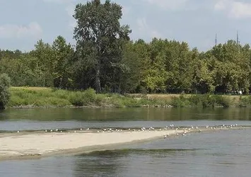Meriç Nehri'nde ceset bulundu