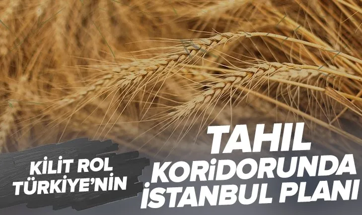 Tahıl koridorunda İstanbul planı: Harekat merkezi kurulması noktasında İstanbul ön planda