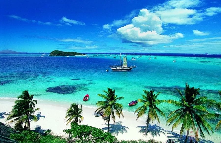 Hangi ülkelere vizesiz gidilebilir? İşte Türkiye'den vizesiz gidilen ülkelerin listesi 88