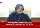 Bakan Selçuk asgari ücret zam oranını açıkladı! İşte o rakam
