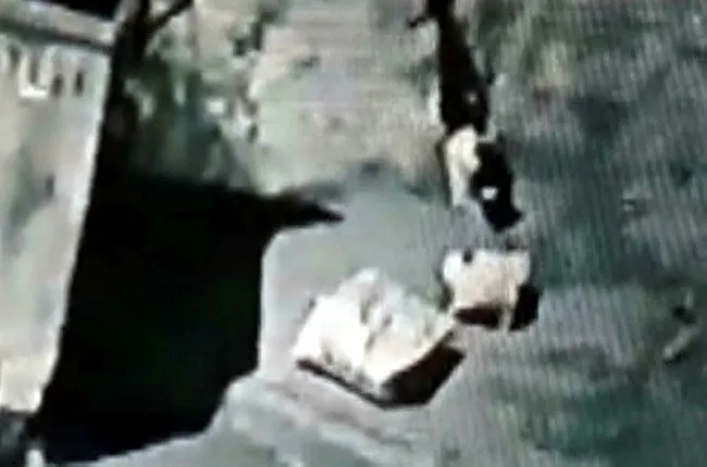Mersin’de yavru kedileri ağzı bağlanmış poşete koyup ölüme terk ettiler - 2