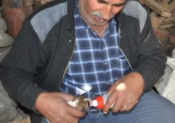 Sokakta bulduğu köpekleri biberonla besliyor