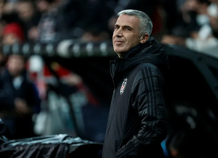 Son dakika: Beşiktaş'ın teknik direktörü belli oldu - 2