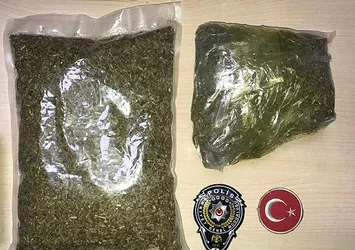 Hamile yalanı kısa sürdü! Suç makinası çıktı