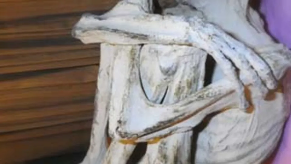 Üç parmaklı mumya yeni bir insan türüne ait olabilir iddiası