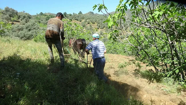 Aydın'da yaşayan Süleyman Çapar emeklilik ikramiyesini telefon dolandırıcılarına kaptırdı - 3