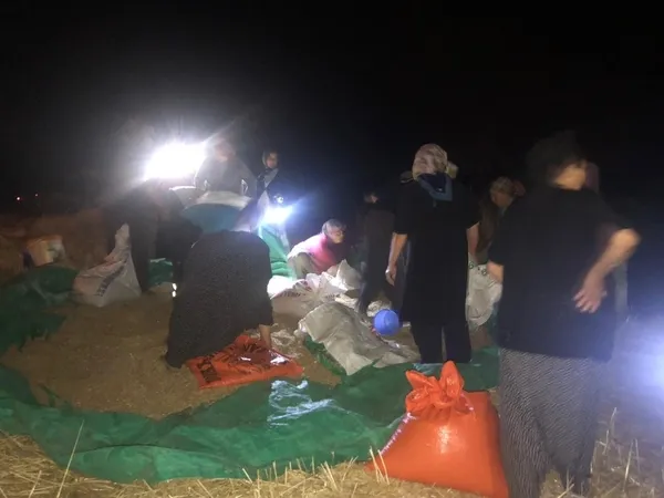 Son dakika: Adana’nın Kozan ilçesinde orman yangını - 2