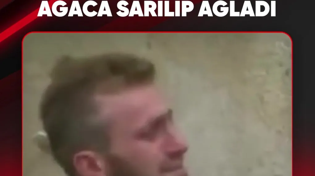 KİMSESİ YOKTU... AĞACA SARILIP AĞLADI