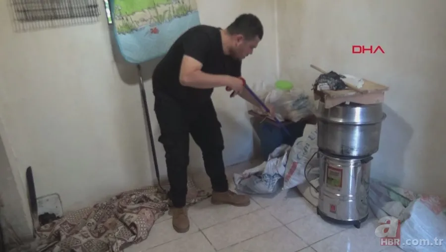 Tek ısırığı bile öldürüyor! Eve giren zehirli yılanı elleriyle yakaladı 🐍 1