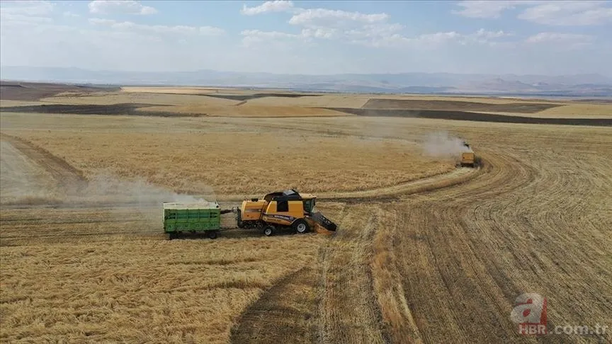 5000 TL İKRAMİYE MÜJDESİ SON DAKİKA: Çiftçilere 5000 TL emekli ikramiyesi ne zaman verilecek? ÇKS belgesi olanlar... 11