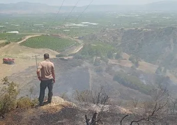 Manisa'da makilik yangını: 5 dönüm alan zarar gördü