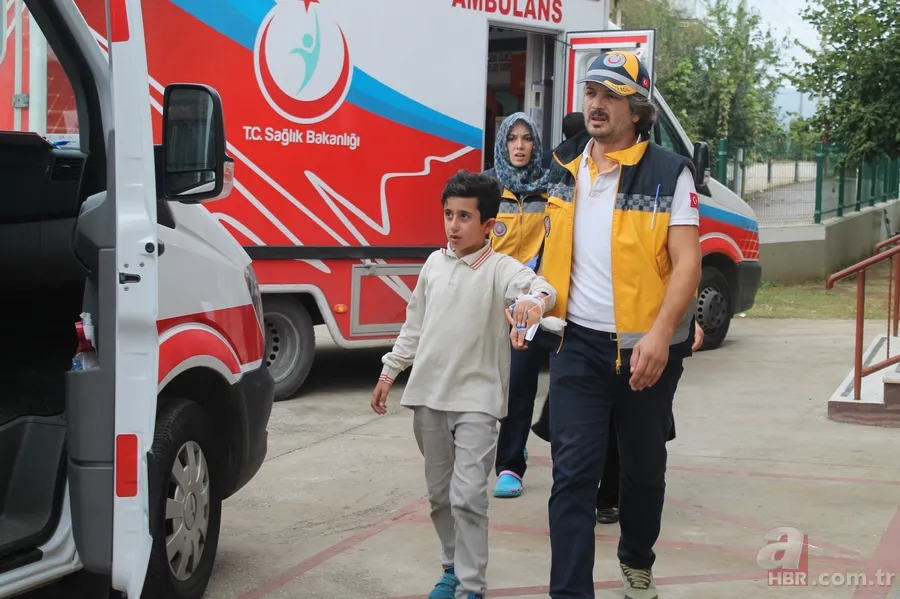 Okul bahçesinde yuva yapan arılar öğrencilere saldırdı 1