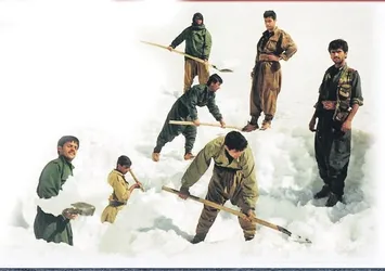 PKK itirafçısı korkunç işkence ve infazları anlattı: Feryatları dağlarda yankılandı!