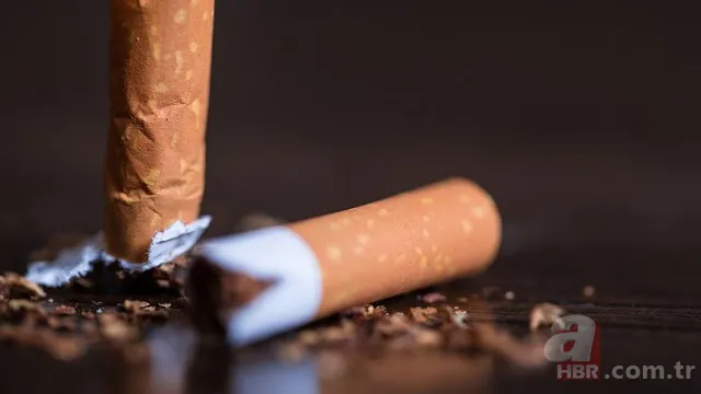 Güncel zamlı sigara listesi 2020: Sigara fiyatlarına zam geldi mi, gelecek mi? Marlboro, Camel, Winston, Muratti, LM, Kent fiyatları... 11