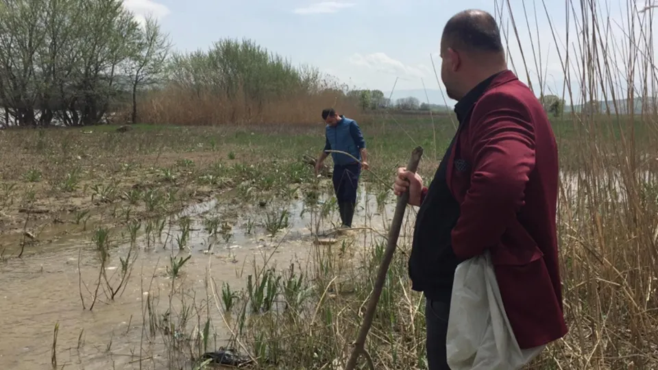 Tarladan balık topladılar |Video