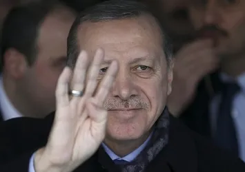 Avusturya'da Cumhurbaşkanı Erdoğan'a oy çıktı