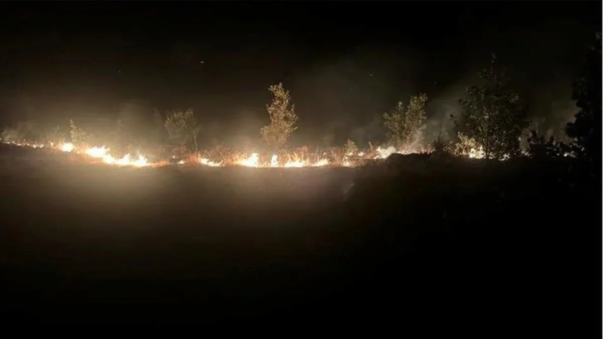 Elazığ'da ormanlık alana yayılan arazi yangını kontrol altına alındı
