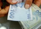 BES devlet katkısı 2022 ne kadar oldu?