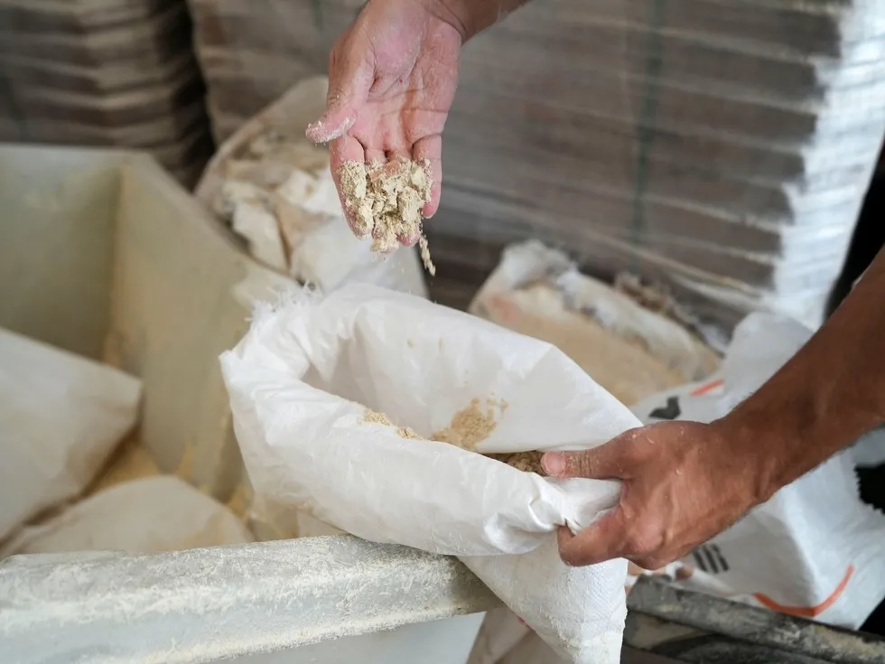 Sofralarımıza böcekli ve küflü un yedireceklerdi! Tarsus'taki skandal denetimle ortaya çıktı - 4