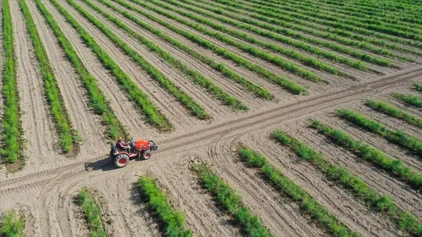 Tarım ve Orman Bakanlığı işçi alımı başvuru ekranı: 2021 İŞKUR kura çekimi ne zaman? İşte şartlar ve kadrolar...