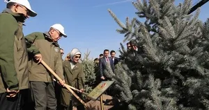 AK Parti ikiye katladı: 19 yılda 6,5 milyar fidan